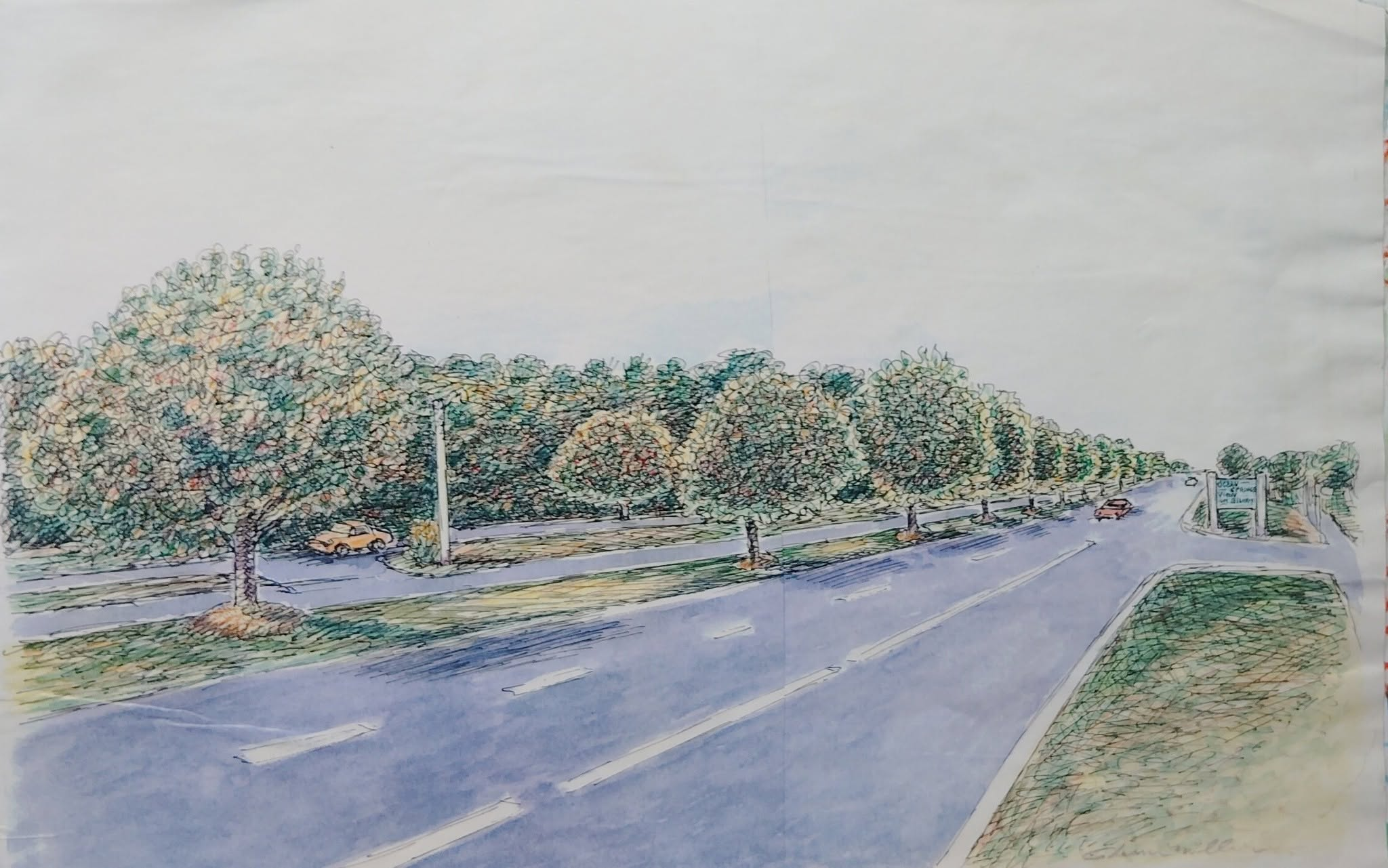 Oak Trees, artwork by Glenn Miller, 2007; presentation gift for Evelyn Conners