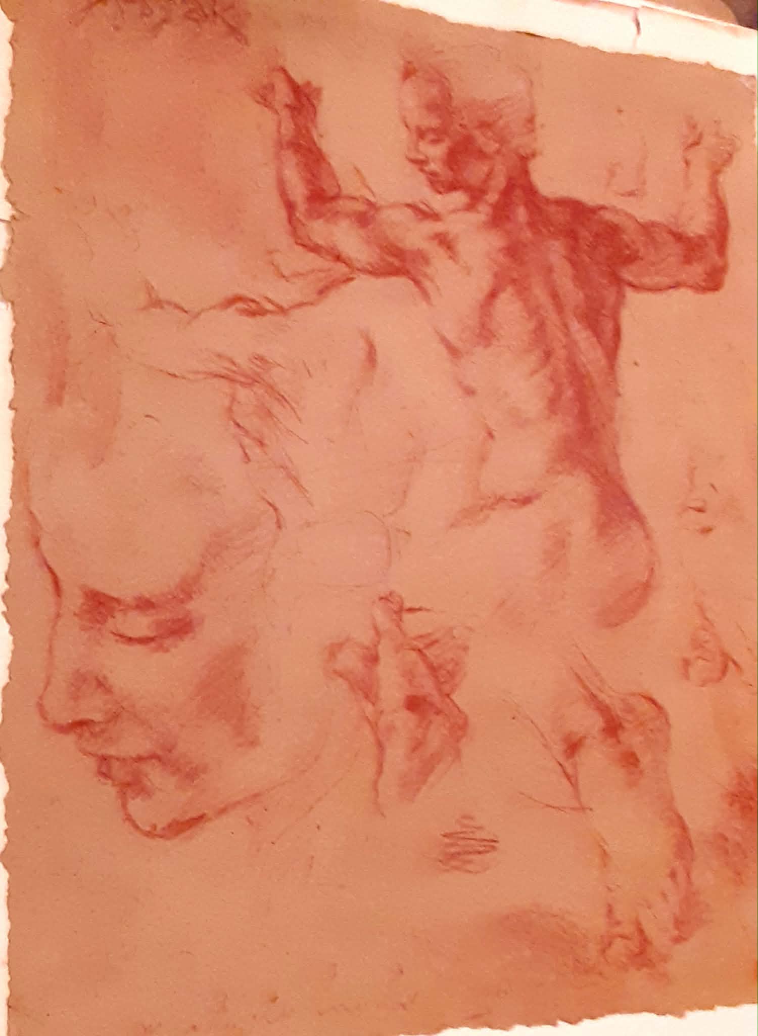 Classwork from Ringling School of Art and Design by Matthew Spisak