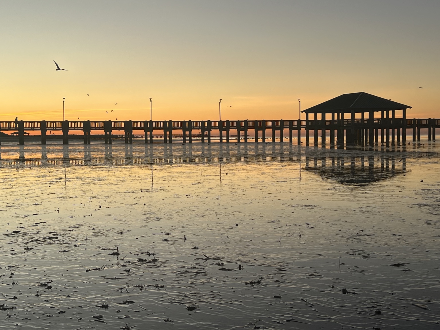 Ocean Springs pier at sunset, reflected in the shallow water
